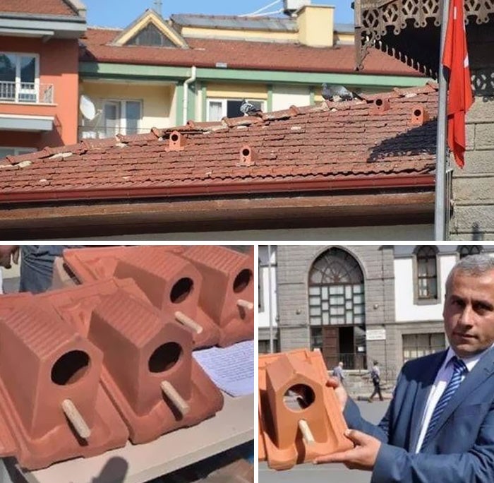 "Turecka firma produkuje dachówki z wbudowanymi domkami dla ptaków."