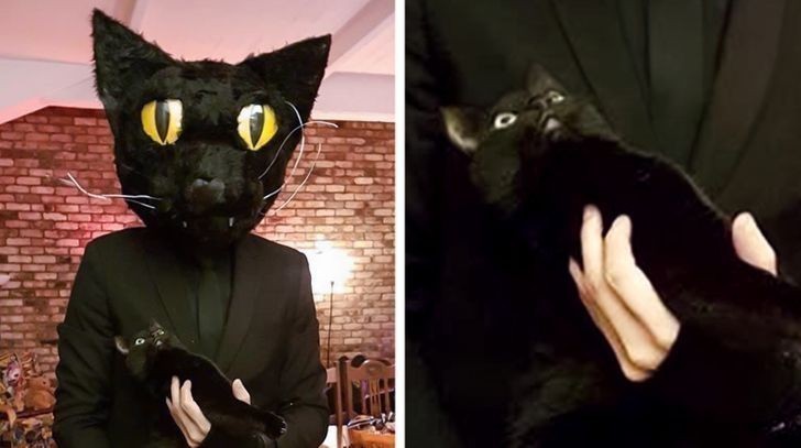 14. "Kolega przebrał się za swojego kota na Halloween. Sam kot nie był zachwycony."
