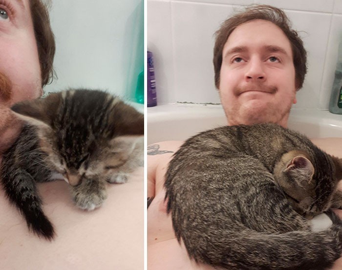 8. "Pierwszego dnia po adopcji mojej kotki wziąłem kąpiel. Dała radę wskoczyć do wanny i ułożyć się na moim ramieniu. Jak widać na drugim zdjęciu, wciąż to robi."