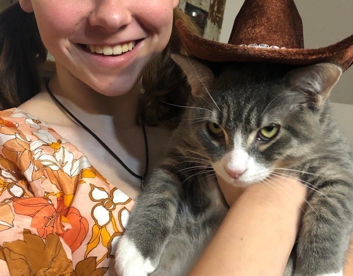 9. "Córka kupiła kotu nowy kapelusz. Tylko spójrzcie na tę podekscytowaną minę."