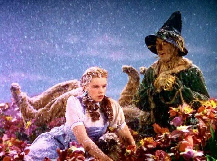 "Śnieg w filmowej adaptacji 'Czarnoksiężnika z Oz' składał się z czystego azbestu."