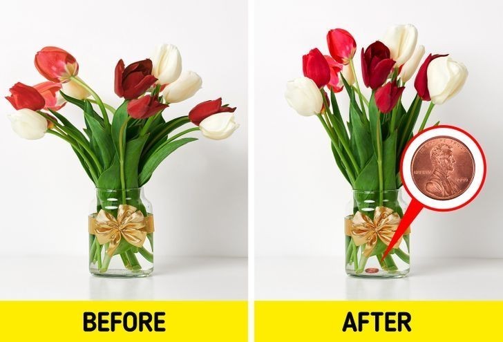 2. Użyj miedziaka, by twoje tulipany stały sztywno w wazonie.