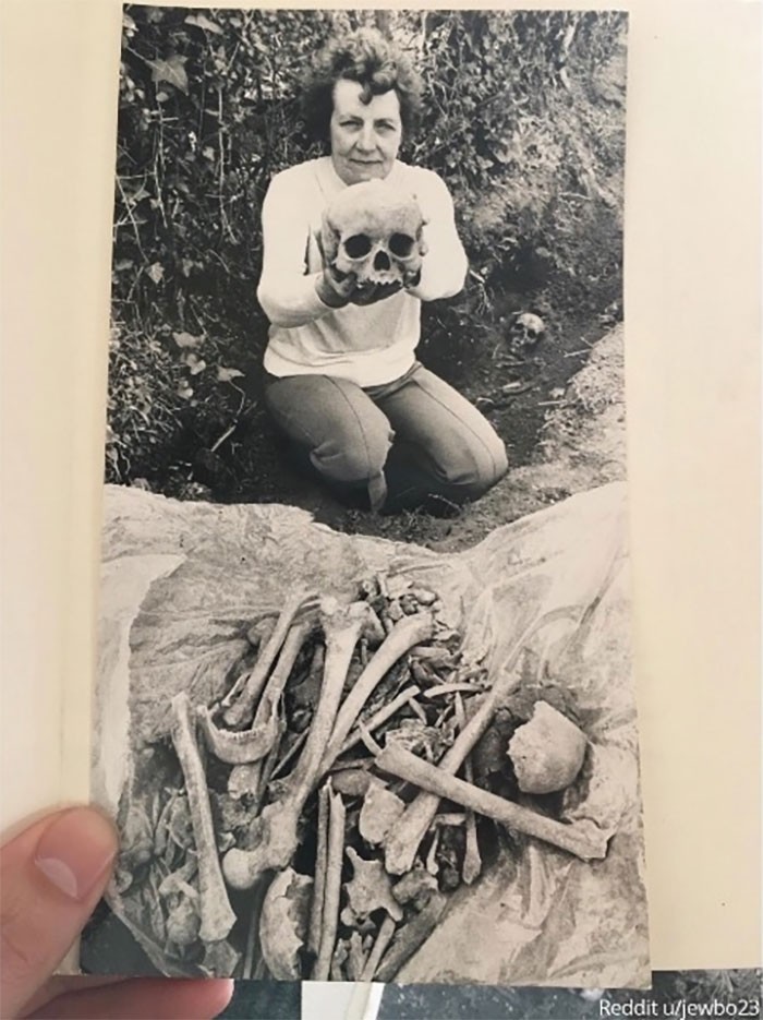 "Moja ciocia mimochodem wspomniała, że znalazła kiedyś mnóstwo szkieletów w swoim ogrodzie."