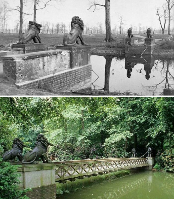 2. Tiergarten, Berlin (1945 vs 2021)