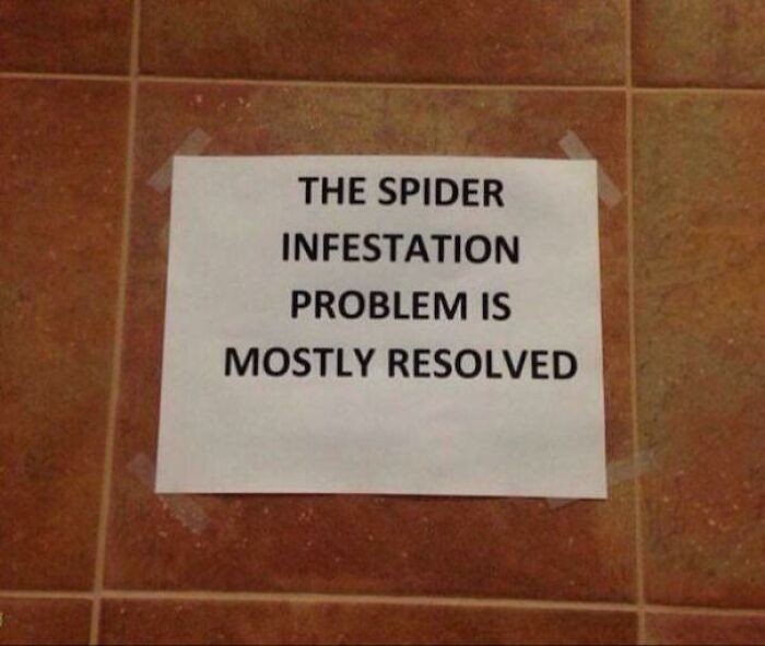 4. "Problem infestacji pająków został w większości rozwiązany."