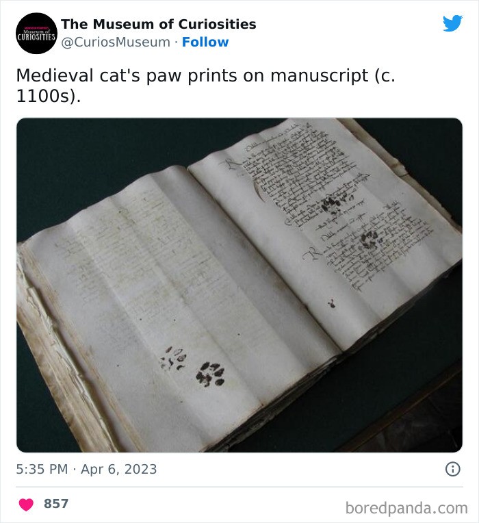 "Odciski łap średniowiecznego kota na manuskrypcie (ok. 1100)"