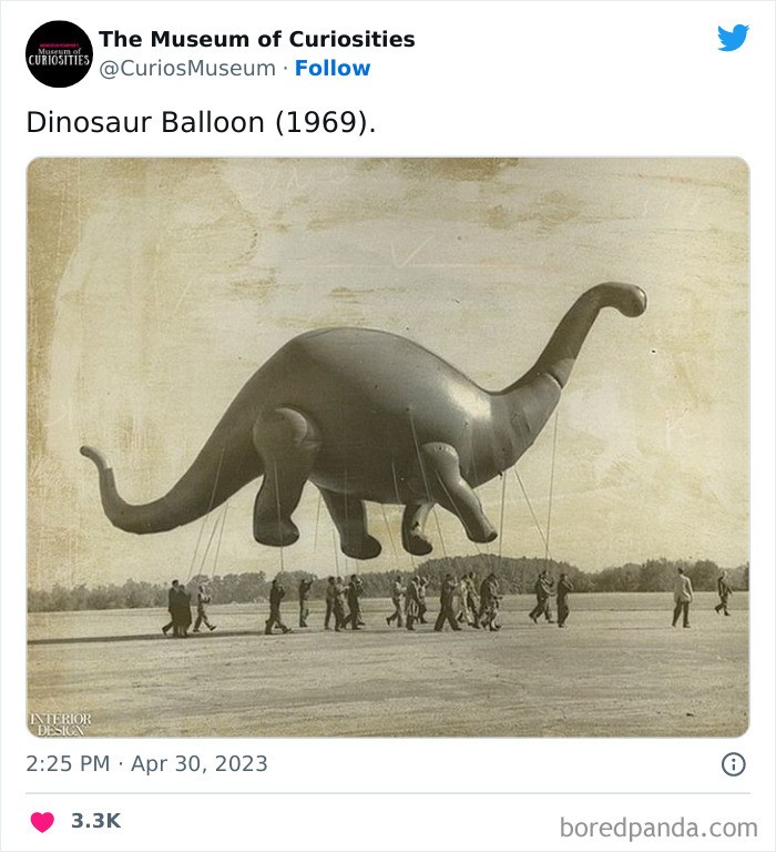 "Balon w kształcie dinozaura"