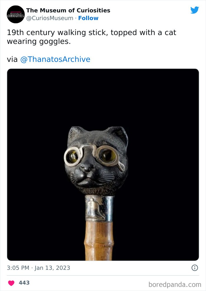 XIX-wieczna laska zakończona kotem noszącym gogle"