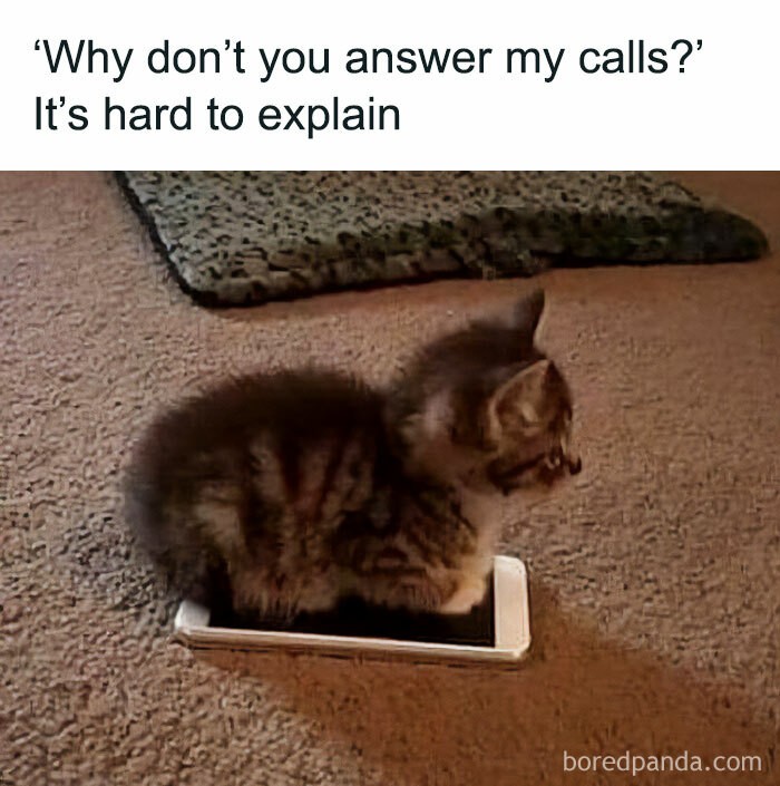 "Dlaczego nie odbierasz telefonów?" "To skomplikowane."