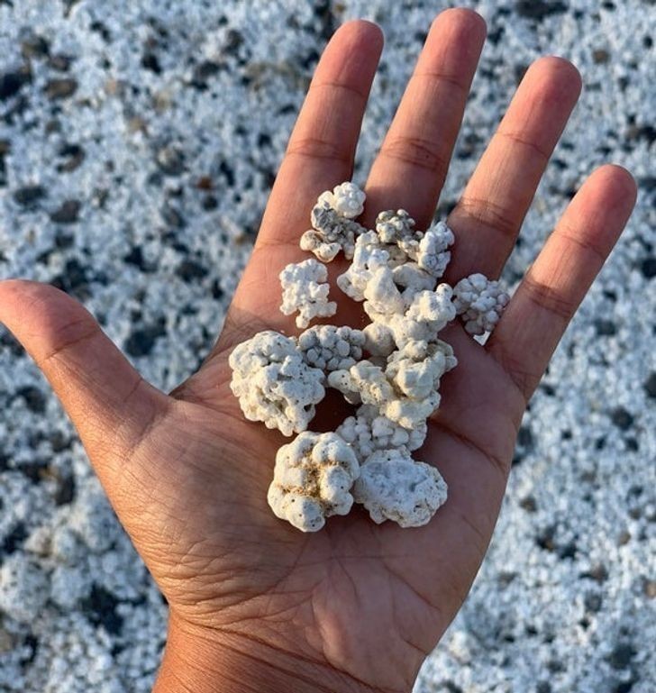 Kamyki w kształcie popcornu znalezione na plaży