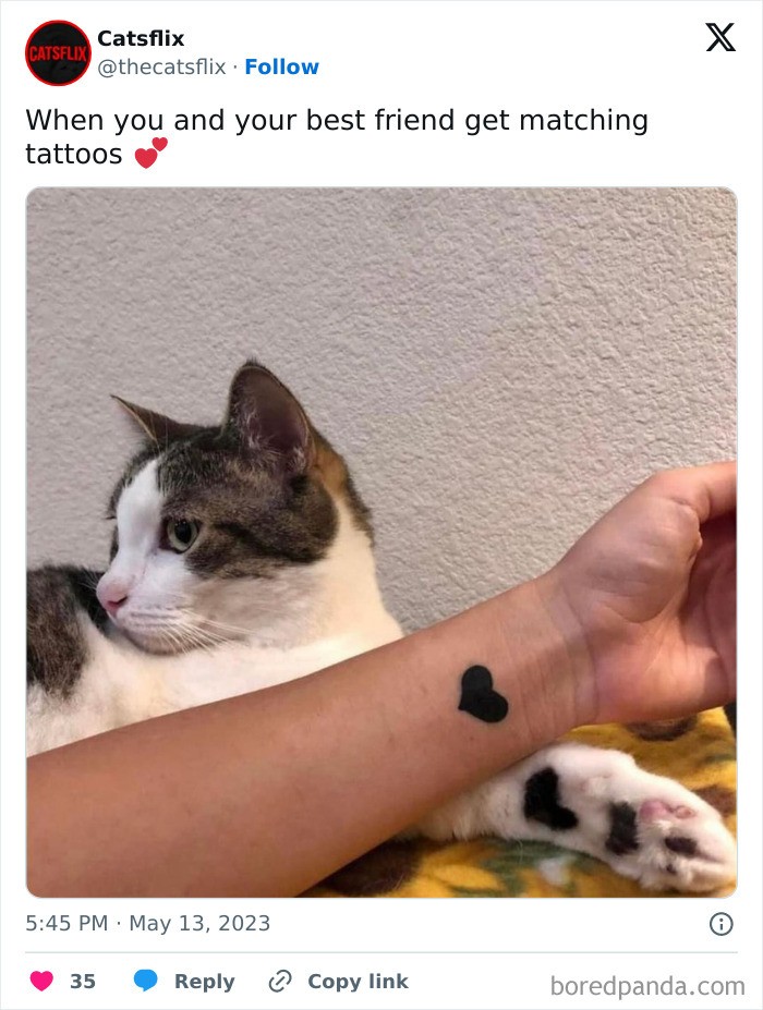 "Gdy ty i twój najlepszy przyjaciel robicie sobie pasujące tatuaże"
