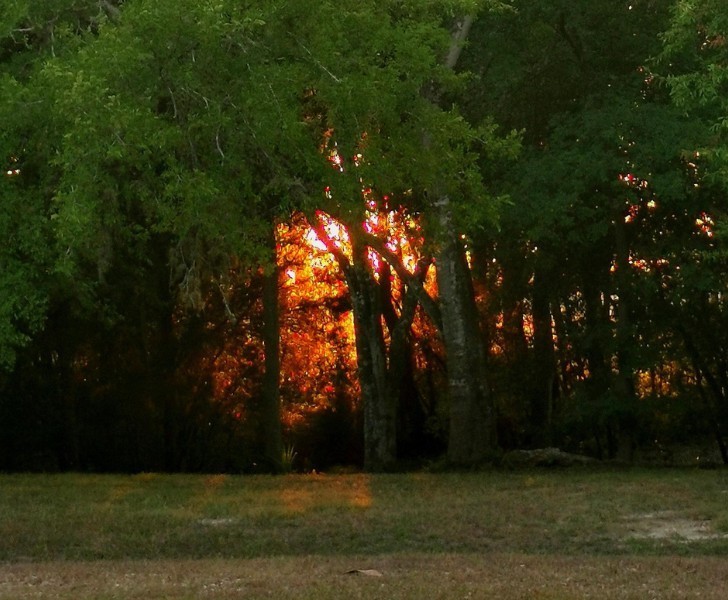 "Ten zachód słońca wygląda jak pożar lasu."
