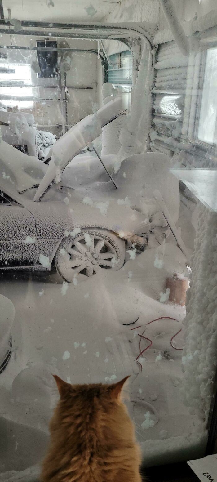 "Burza śnieżna otworzyła moją bramę garażową."