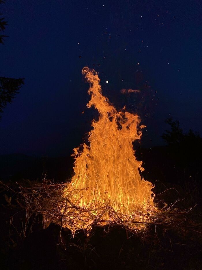"To niezwykle szczegółowe zdjęcie, które zrobiłam ognisku"