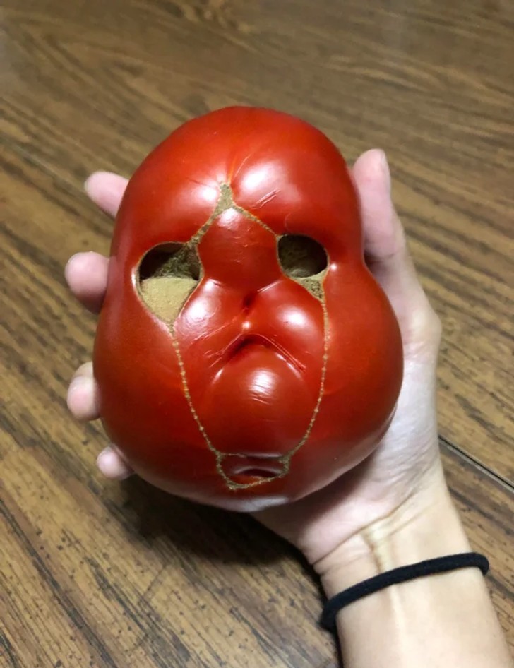 "Ten pomidor chyba chce mi coś powiedzieć."