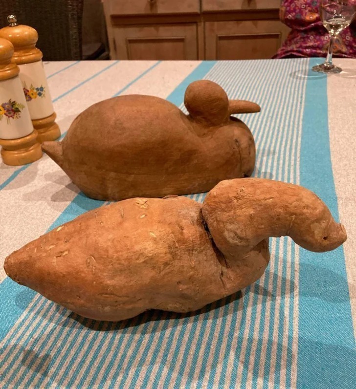 Ziemniak przypominający drewnianą kaczkę