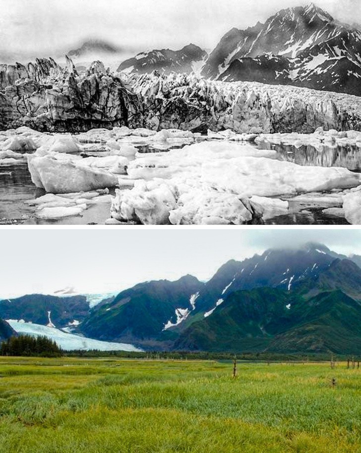Lodowiec Pedersen, Alaska, 100 lat temu i dziś