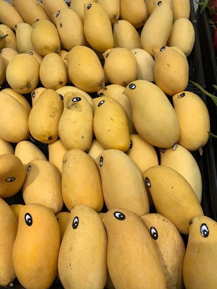Naklejki na mango, nadające im kształt ptaków