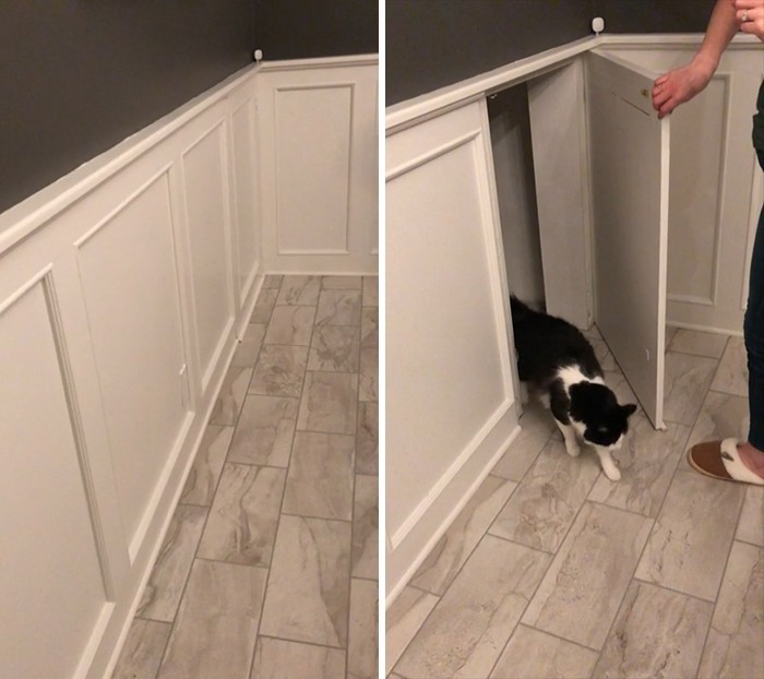 Kot ma swój tajemniczy pokój?