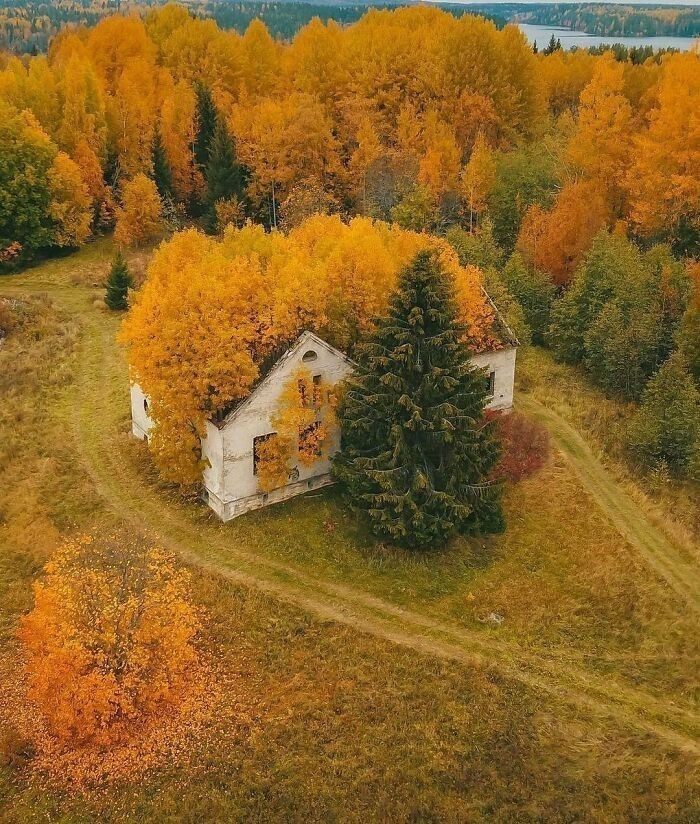 Opuszczony dom w Rosji