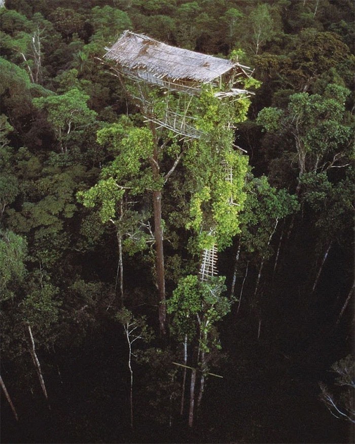 Opuszczony domek w Papui-Nowej Gwinei