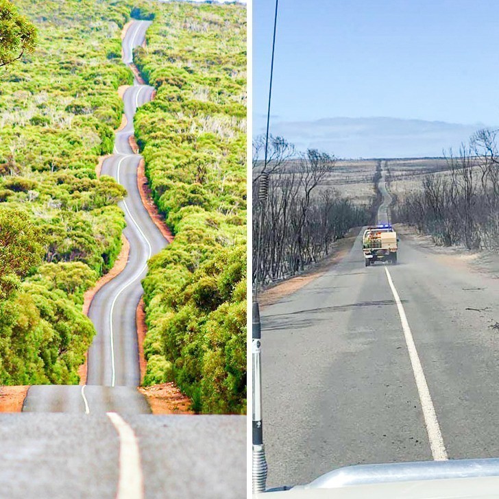Efekt pożarów w Australii: to ta sama droga