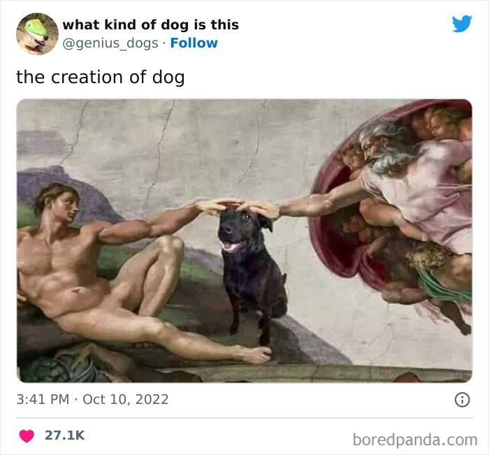 "Stworzenie psa"