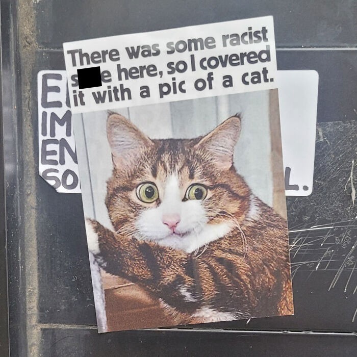 "Były tu jakieś rasistowskie bzdury, więc zakryłem je zdjęciem kota."