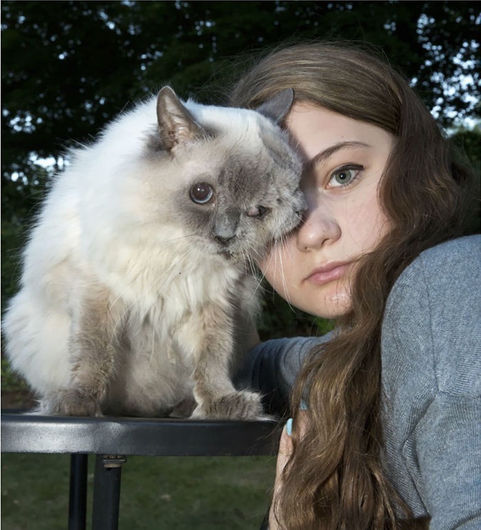Amelia i jej kot o dwóch twarzach