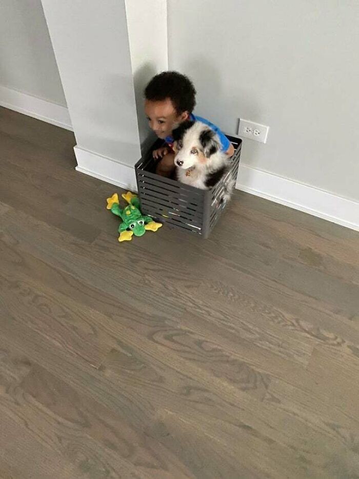 Chłopiec i jego nowy pies