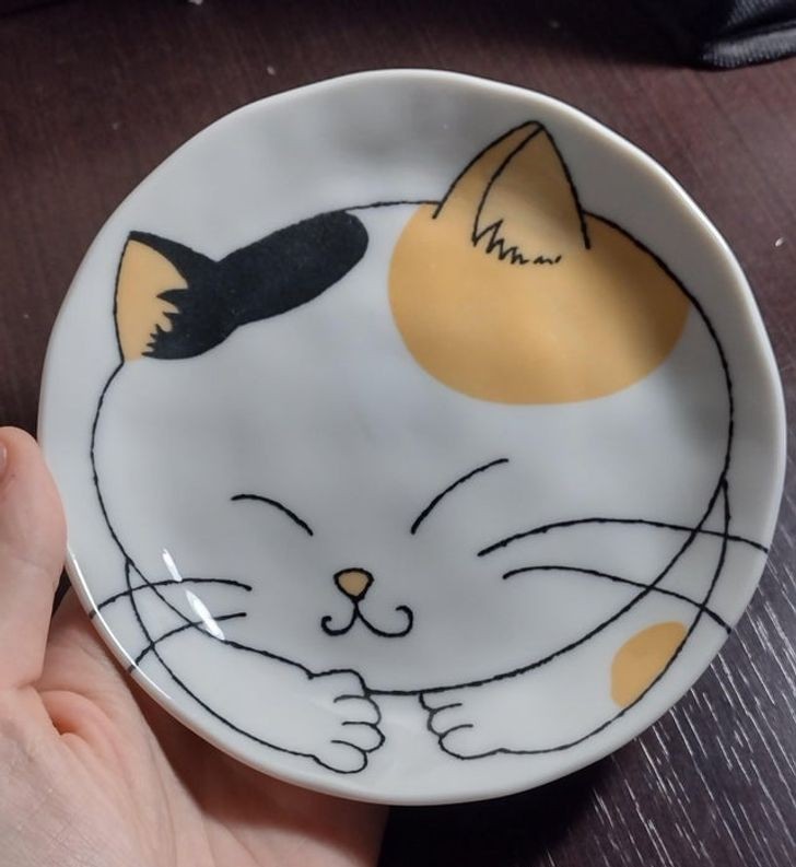 "Koci talerzyk, który kupiłam w sklepie importującym rzeczy z Japonii"