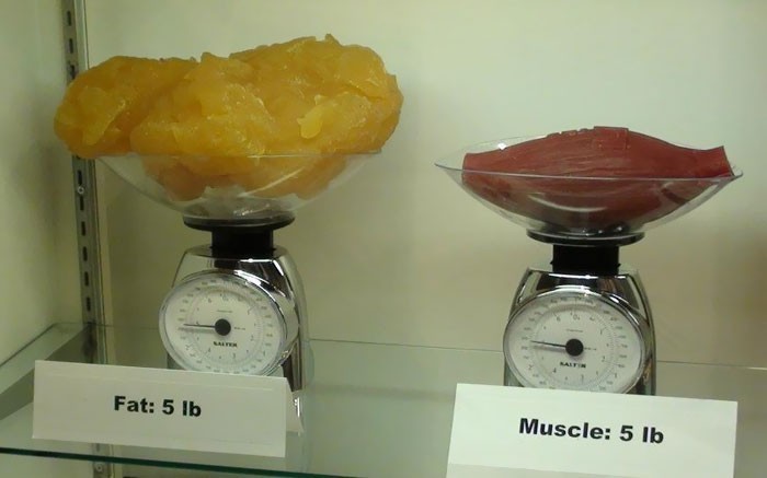5 funtów (2,3 kg) tłuszczu w porównaniu do 5 funtów mięśni