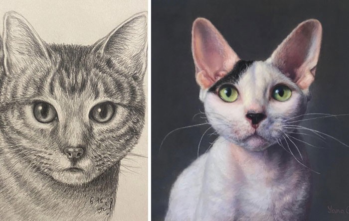 "Mój pierwszy rysunek kota vs jeden z niedawnych"