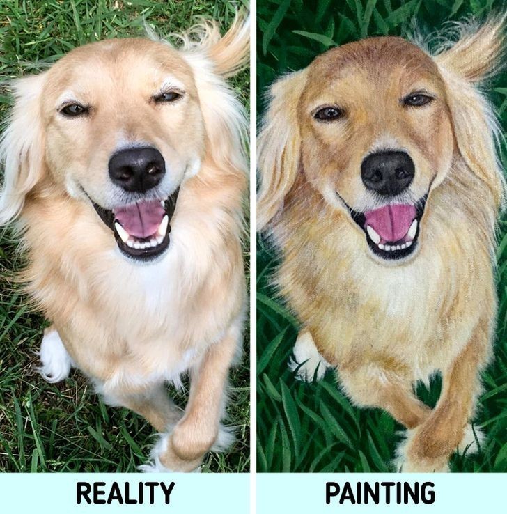 "Zleciłam artystce namalowanie mojego psa. Wyszedł fantastycznie!"