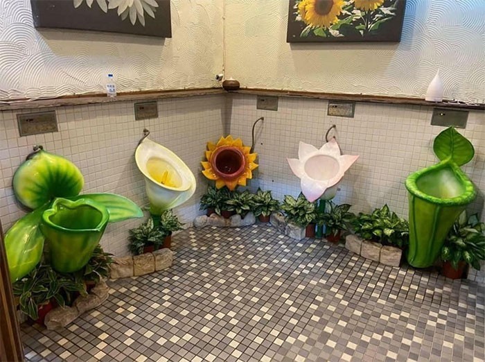 Korzystanie z toalety nigdy nie było tak dziwne.