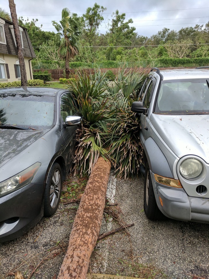 "Po lewej stoi mój samochód. Po prawej auto mojego współlokatora."