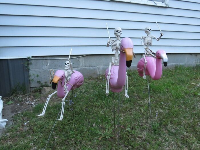 "Nasze nowe flamingi ogrodowe. Szkielety kupione na osobnej wyprzedaży."