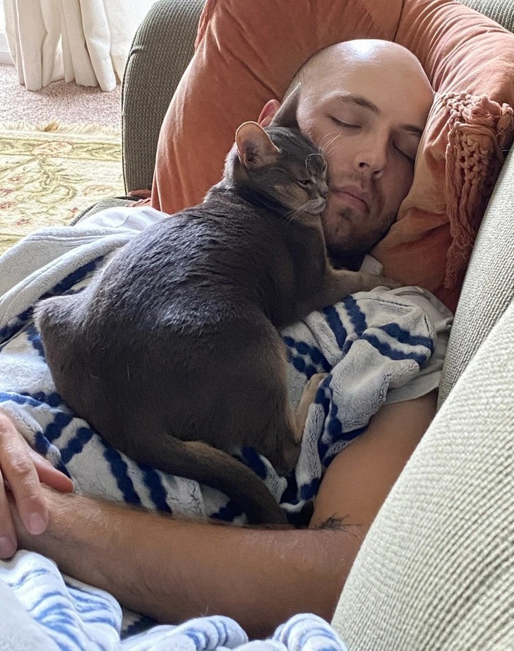 "Kot i mój chłopak po naszym powrocie z tygodniowego wyjazdu"