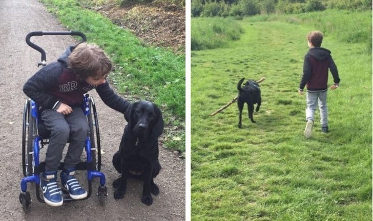 "8 miesięcy temu, nasz syn, który poruszał się głównie na wózku, otrzymał psa towarzyszącego. Chyba możemy śmiało stwierdzić, że poczynili razem olbrzymie postępy."