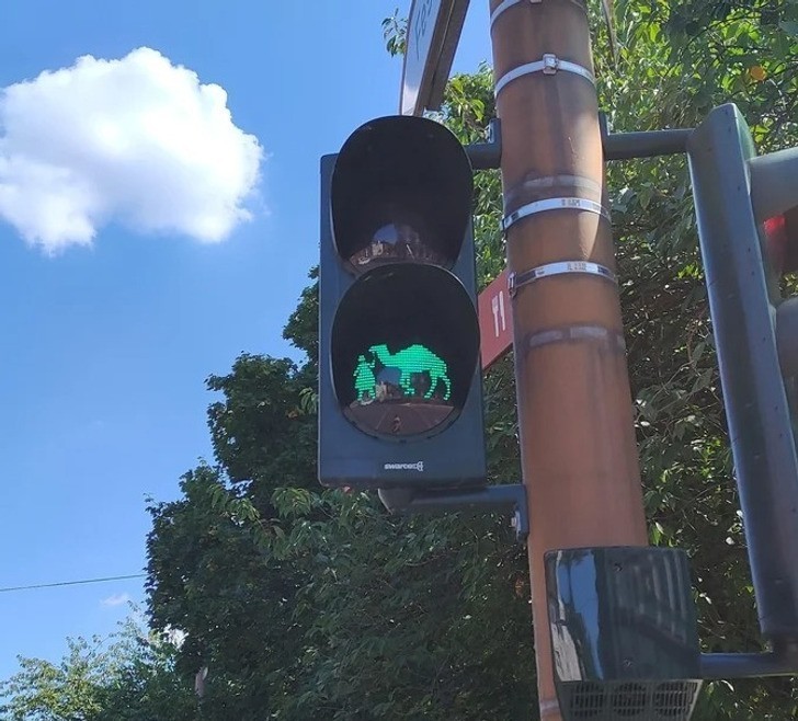 "Sygnalizacja świetlna w Niemczech z ikoną dziewczynki z wielbłądem"