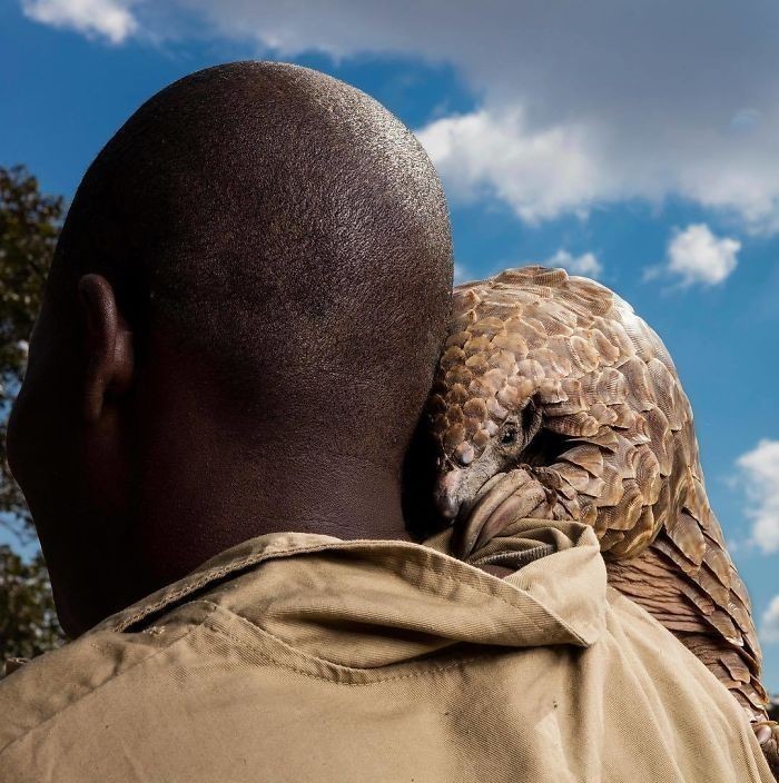 Brent Stirton