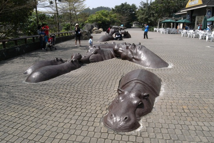 Chen Pao-chung, Hippo Square (Plac hipopotamów)