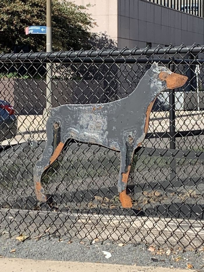 Rdza sprawiła, że ten metalowy znak przedstawiający dobermana zaczął wyglądać jak prawdziwy doberman.