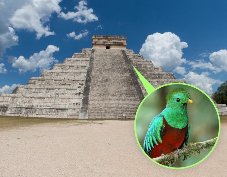 Piramida Kukulkana w Chichen Itza wydaje dźwięki, gdy ludzie klaszczą.