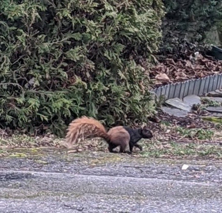 A to prawdopodobnie jej znajoma.