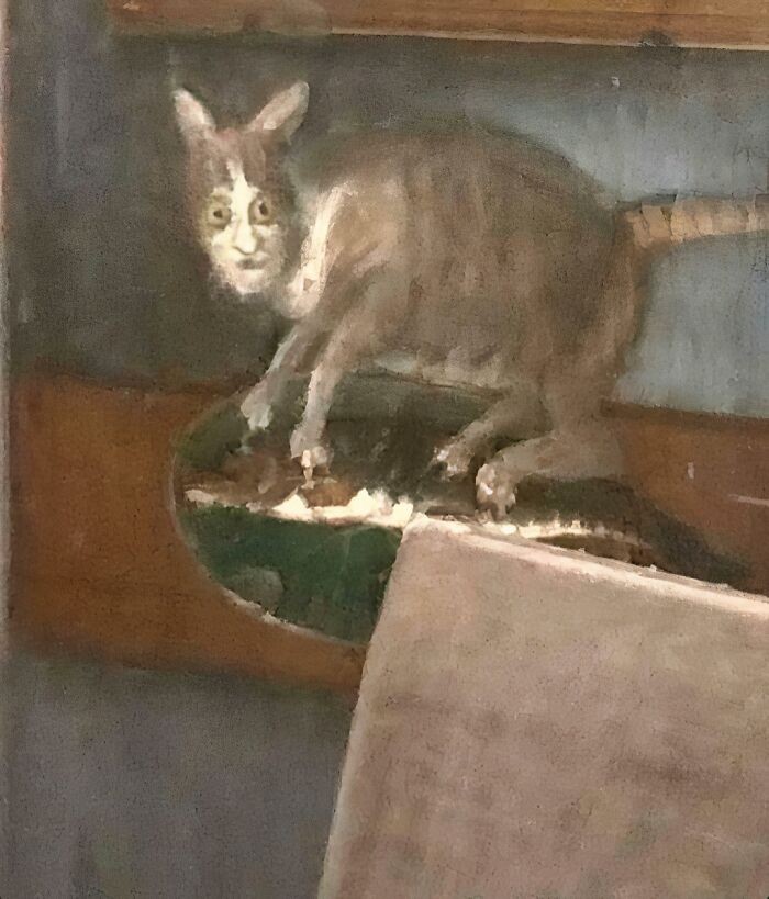 W muzeum w moim mieście jest obraz kota, który za każdym razem mnie rozśmiesza.