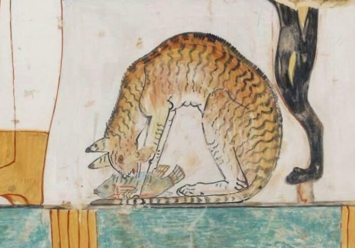Pierwszy kot, który miał imię, był egipskim kotem o imieniu Nedjem, co znaczy „Słodziak”, który żył za panowania Totmesa III (1479–1425 p.n.e.).