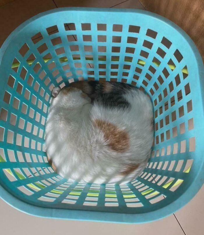 #8 Uosobienie doskonałości