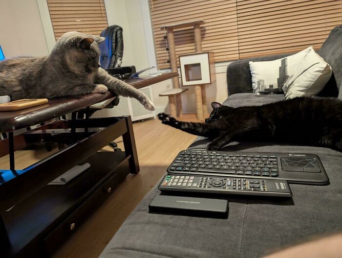 #10 Ich wersja Michała Anioła: Stworzenie Adama