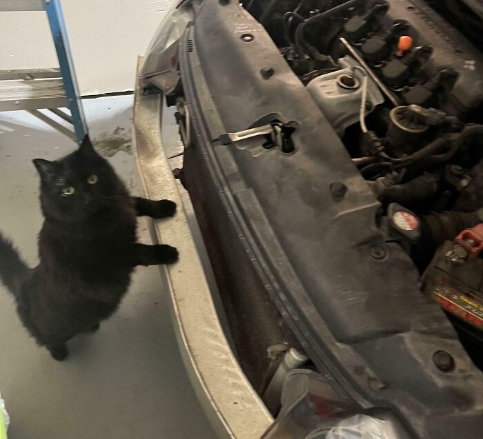 #7 Zaraz przekaże mi bardzo złe wieści